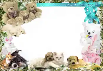 カテゴリのフォトエフェクト 私のおもちゃやペット № 158458