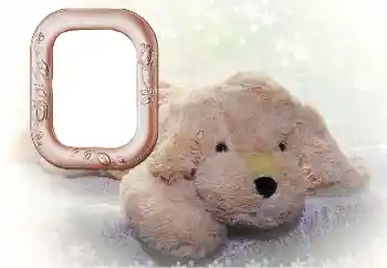 カテゴリのフォトエフェクト 私のおもちゃやペット № 169102