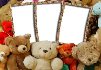 カテゴリのフォトエフェクト 私のおもちゃやペット № 6505