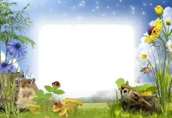 カテゴリのフォトエフェクト アウトドア № 141000