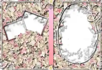 カテゴリのフォトエフェクト DVDカバー № 4459. フレーム上の碑文: ホームアーカイブ カテゴリのフォトエフェクト DVDカバー № 4459. フレーム上の碑文: ホームアーカイブ