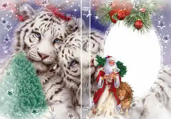 カテゴリのフォトエフェクト DVDカバー № 4463. フレーム上の碑文: 新年 カテゴリのフォトエフェクト DVDカバー № 4463. フレーム上の碑文: 新年
