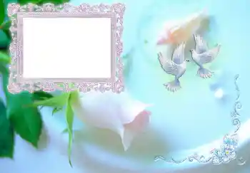 カテゴリのフォトエフェクト 招待状 № 4453. フレーム上の碑文: 結婚式招待状 カテゴリのフォトエフェクト 招待状 № 4453. フレーム上の碑文: 結婚式招待状