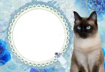 カテゴリのフォトエフェクト カレンダー № 117588. フレーム上の碑文: 2026 カテゴリのフォトエフェクト カレンダー № 117588. フレーム上の碑文: 2026