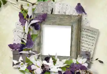 カテゴリのフォトエフェクト いろいろ № 100112