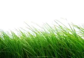 カテゴリのフォトエフェクト いろいろ № 101116