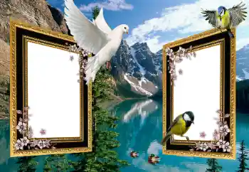 カテゴリのフォトエフェクト いろいろ № 101225