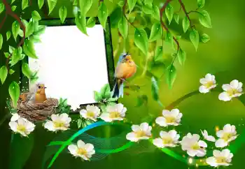 カテゴリのフォトエフェクト いろいろ № 101227