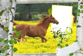 カテゴリのフォトエフェクト いろいろ № 101264