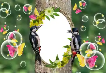 カテゴリのフォトエフェクト いろいろ № 101320