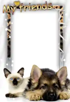 フレーム上の碑文: 私の友人