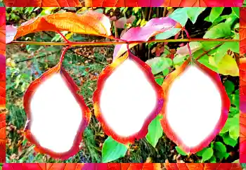 カテゴリのフォトエフェクト いろいろ № 102598