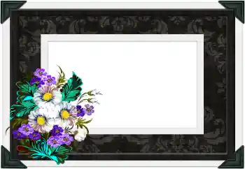 カテゴリのフォトエフェクト いろいろ № 104106