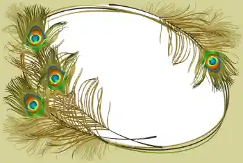 カテゴリのフォトエフェクト いろいろ № 105263 カテゴリのフォトエフェクト いろいろ № 105263