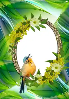 カテゴリのフォトエフェクト いろいろ № 105576