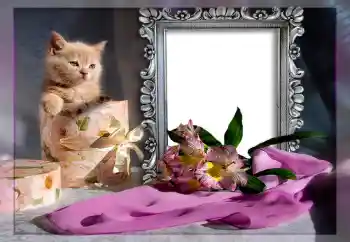 カテゴリのフォトエフェクト いろいろ № 10835