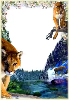 カテゴリのフォトエフェクト いろいろ № 112361