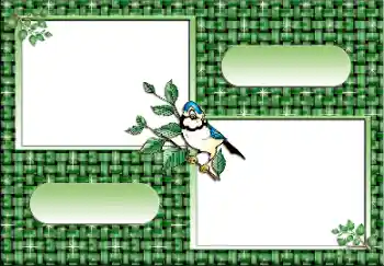 カテゴリのフォトエフェクト いろいろ № 112641