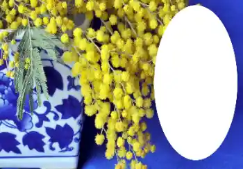 カテゴリのフォトエフェクト いろいろ № 112719