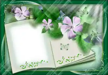 カテゴリのフォトエフェクト いろいろ № 112842