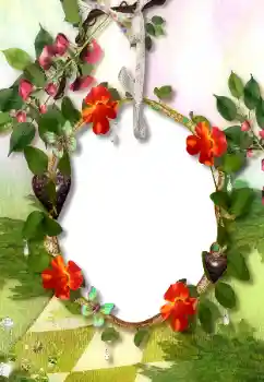 カテゴリのフォトエフェクト いろいろ № 113118