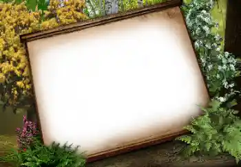 カテゴリのフォトエフェクト いろいろ № 113134