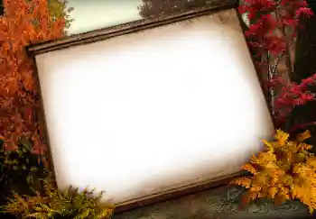 カテゴリのフォトエフェクト いろいろ № 113138 カテゴリのフォトエフェクト いろいろ № 113138