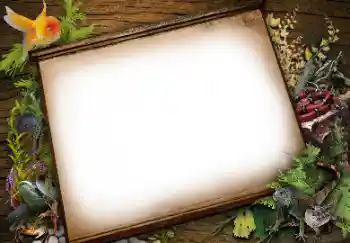 カテゴリのフォトエフェクト いろいろ № 113139 カテゴリのフォトエフェクト いろいろ № 113139