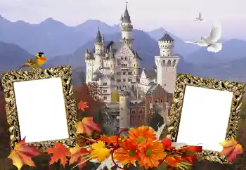 カテゴリのフォトエフェクト いろいろ № 114211