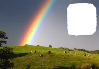 カテゴリのフォトエフェクト いろいろ № 114599