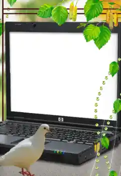 カテゴリのフォトエフェクト いろいろ № 114633