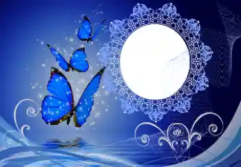 カテゴリのフォトエフェクト いろいろ № 114747