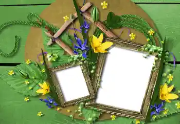 カテゴリのフォトエフェクト いろいろ № 115748