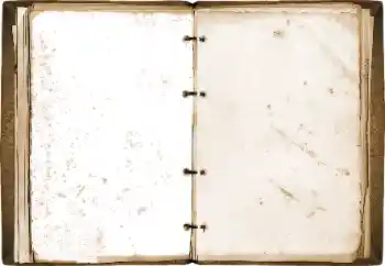 カテゴリのフォトエフェクト いろいろ № 115773