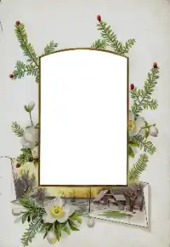 カテゴリのフォトエフェクト いろいろ № 115833