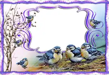 カテゴリのフォトエフェクト いろいろ № 115877