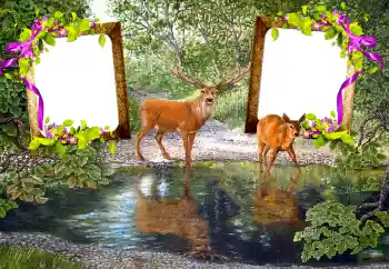 カテゴリのフォトエフェクト いろいろ № 115890