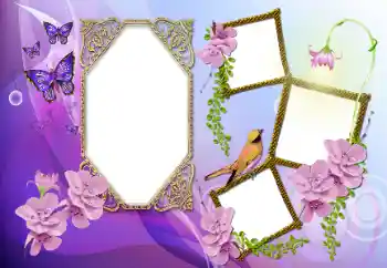 カテゴリのフォトエフェクト いろいろ № 115891