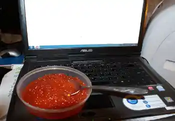 カテゴリのフォトエフェクト いろいろ № 115910