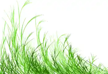 カテゴリのフォトエフェクト いろいろ № 115932