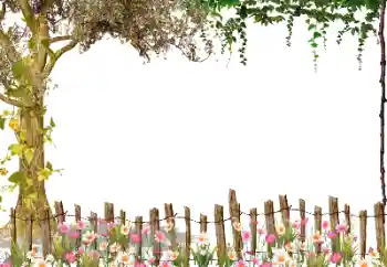 カテゴリのフォトエフェクト いろいろ № 115954