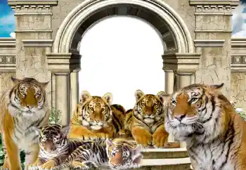 カテゴリのフォトエフェクト いろいろ № 116203