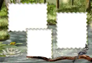 カテゴリのフォトエフェクト いろいろ № 116216