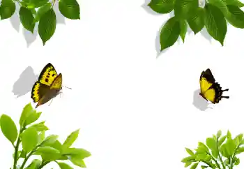 カテゴリのフォトエフェクト いろいろ № 117282