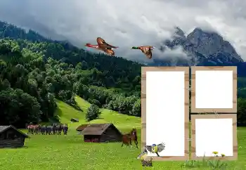 カテゴリのフォトエフェクト いろいろ № 118908 カテゴリのフォトエフェクト いろいろ № 118908