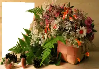 カテゴリのフォトエフェクト いろいろ № 120020