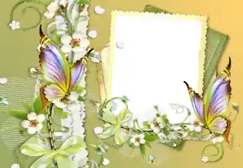 カテゴリのフォトエフェクト いろいろ № 121056