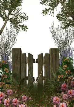 カテゴリのフォトエフェクト いろいろ № 123212