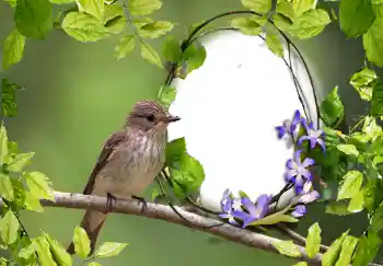 カテゴリのフォトエフェクト いろいろ № 123219