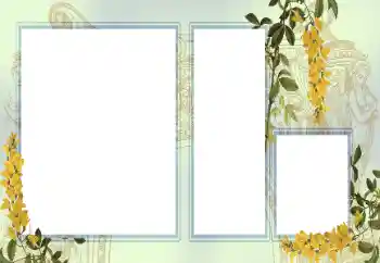 カテゴリのフォトエフェクト いろいろ № 123242